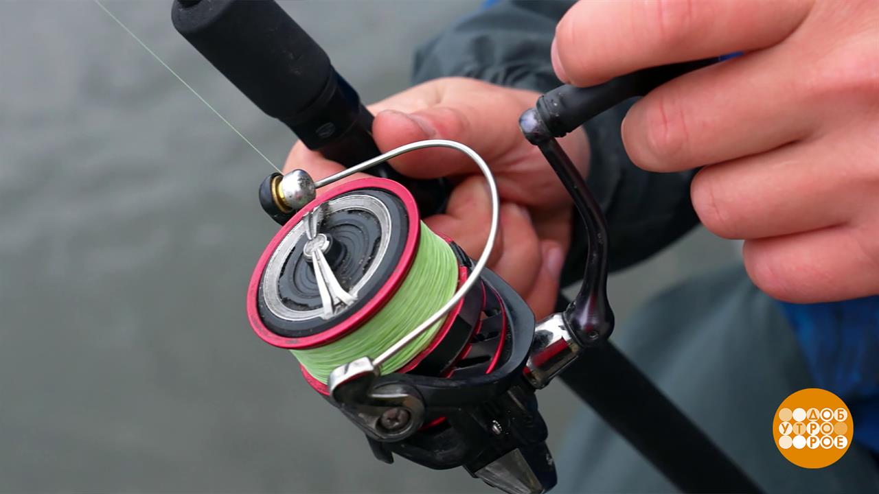 Рыба - осторожная. Удочка - деликатная... Доброе утро. Фрагмент выпуска от 07.11.2025