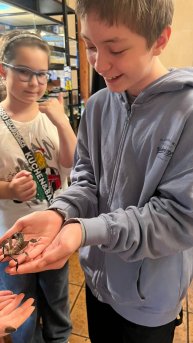 В 02:00 делаю прямой эфир