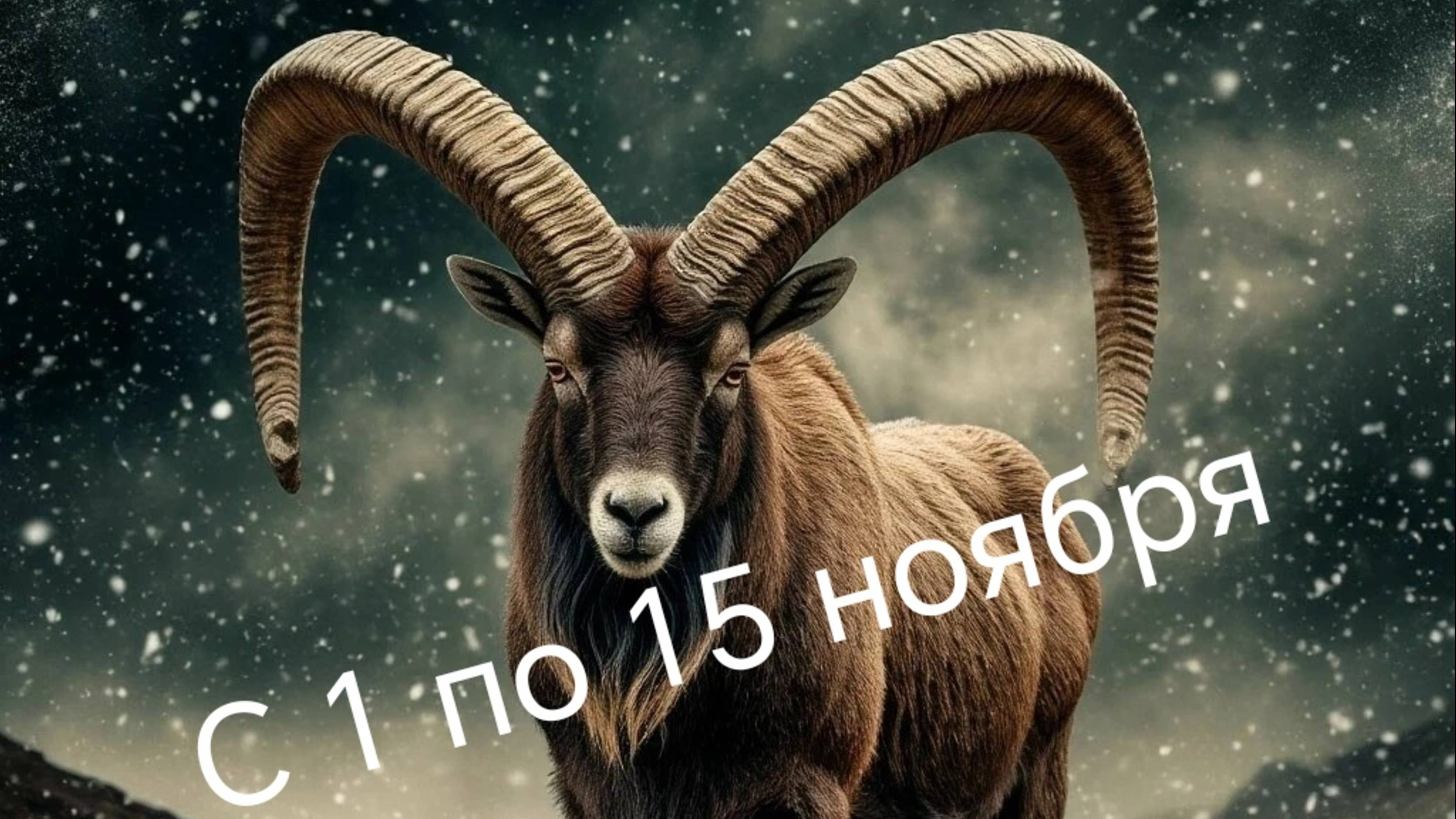 Козерог с 1 по 15 ноября