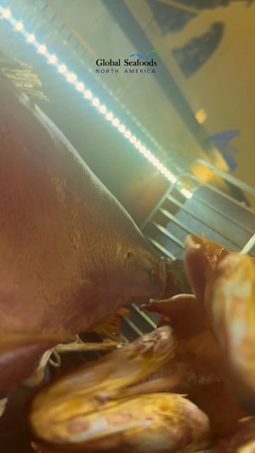 Откройте для себя невероятный вкус вяленой (dry-aged) рыбы — насыщенный, маслянистый и полный естест