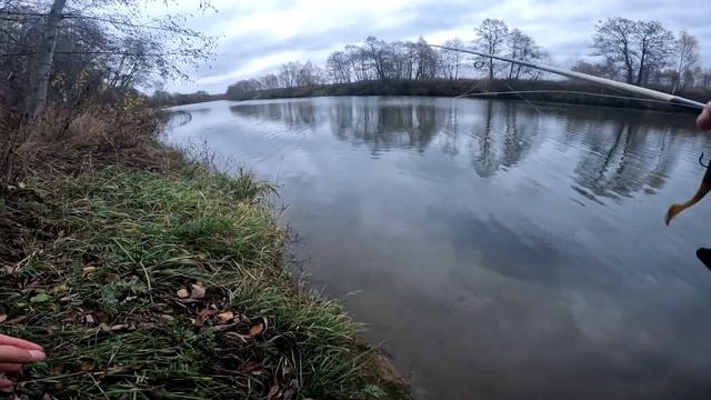 Осенний джиг на малой реке