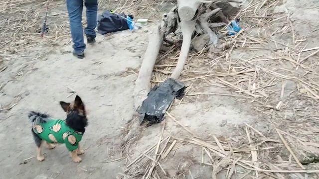 Рыбалка 05.11.25. р. Северский Донец