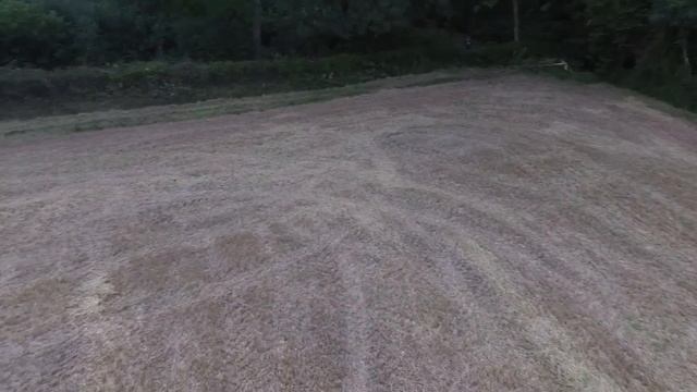 The Moody Blues -" Cause I love you "