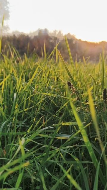 08.11.2025 #сегоднятак #природа #прырода #табиғ #自然 #natureza #natura #자연 #طبيعة #प्रकृति #nature