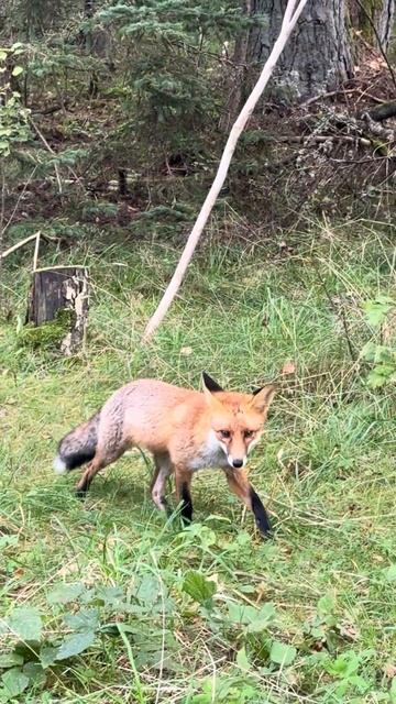 23 октября 2025 г.