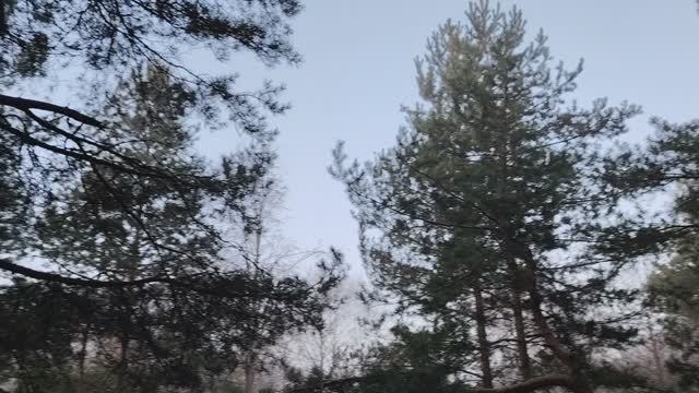 Что меня не устраивало в работе по найму в организации?