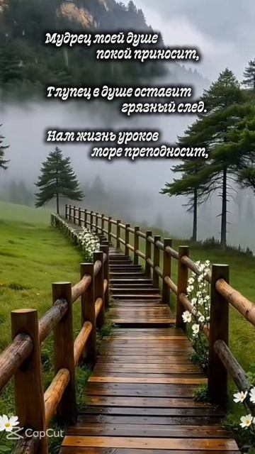 Момынов А.М. " Мудрец покой моей душе..." #поэзия #музыка