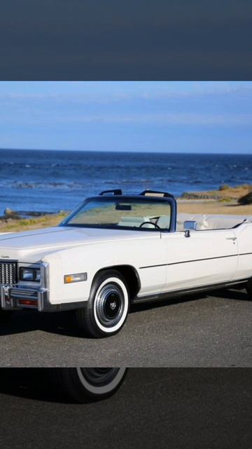 Мой белый Кадиллаг.