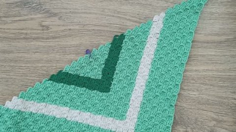 СП ПЛЕДОМАНИЯ С АННУШКОЙ ПОЛОЗНЯК 2-Й ОТЧЁТ ПЛЕД ЦИРК