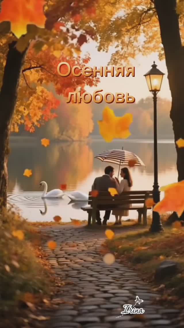 Осенняя любовь🍁❤️🍁❤️🍁#любовь #осень #ручей #лес #кленовыйлист