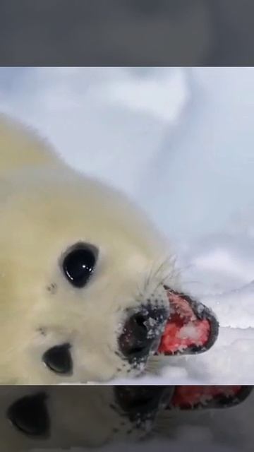 YouCut_20251108_072759876.mp4