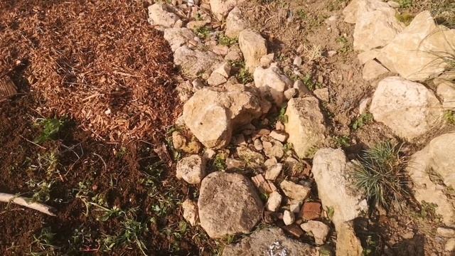 Готовлю грядку к весне, не копаю!