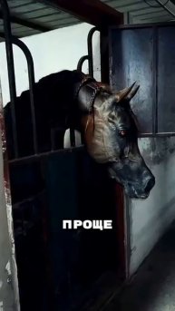 Самая опасная и дорогая лошадь в мире.