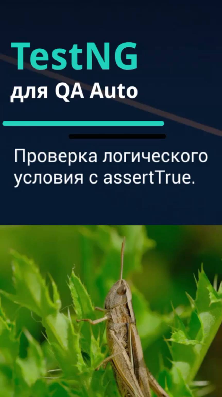 TestNG для QA Auto. Проверка логического условия с assertTrue.