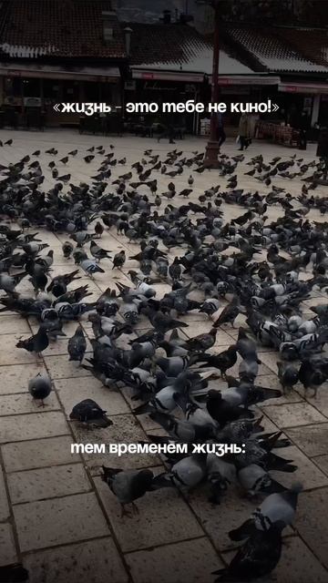 Жизнь❤️ #жизнь