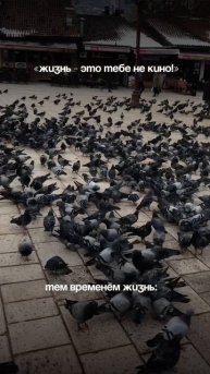 Жизнь❤️ #жизнь