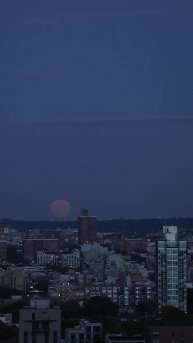 #здания #небо