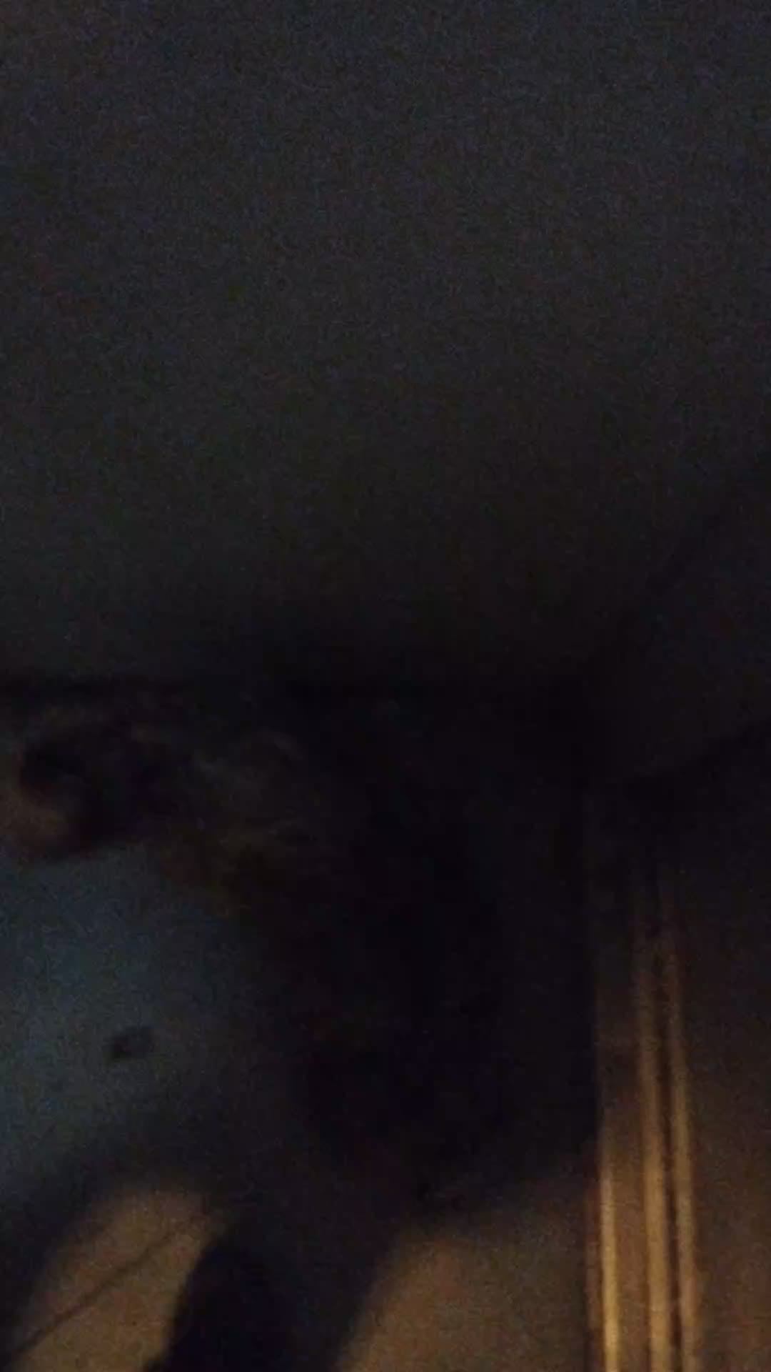 Мы идём гулять с собакой! | 8-ноя-2025