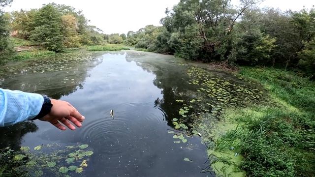 Её тут как грязи! Мормышинг в Кимрах