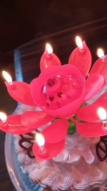 День Рождения