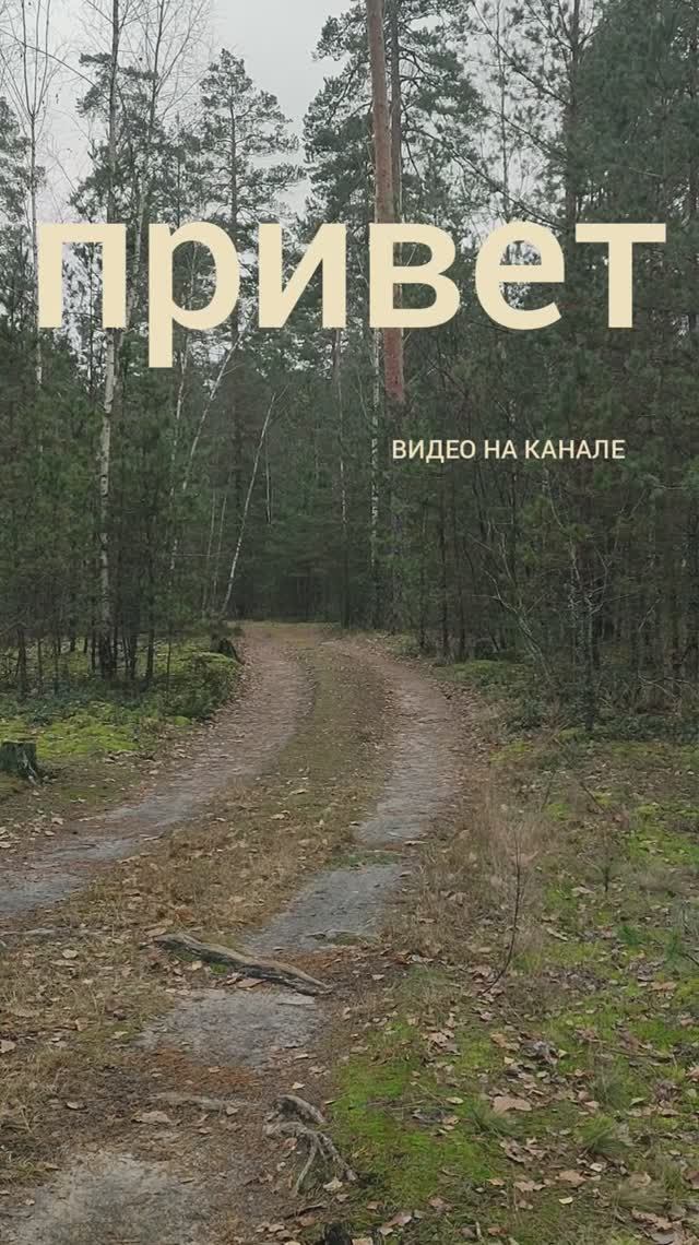 🍄 ШОРТС РАДИ МУЗЫКИ, 07.11.25