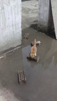 Доброе утро, Ульяновск! Сегодня воскресенье, 9 ноября — День хранительницы домашнего очага, День СОБ