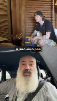 🐼 Панда, бар и веранда