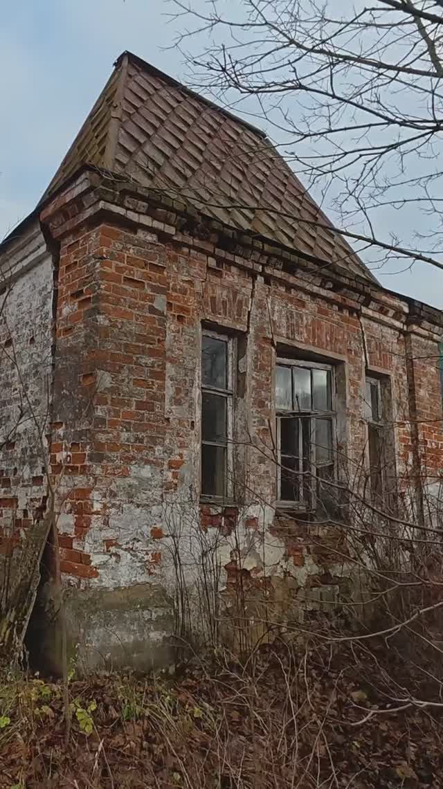 д. Михеево. Дом с необычной крышей