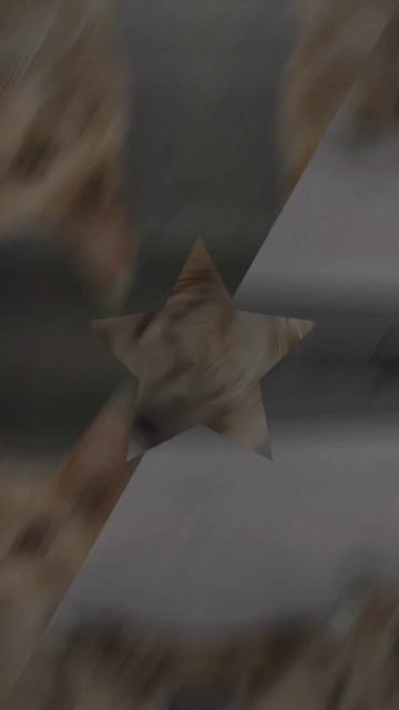 Самые известные фразы #мейнкун #котики #котофейка #cat #веселыекоты #кот #видосыоткота #мейкун #коты