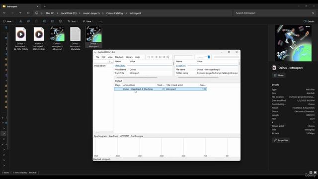 11 - Files Tagging Metadata Why Consistency Matters for Royalties