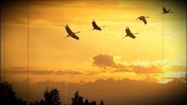 Давай начнём всё снова