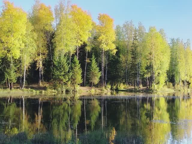 "ГУЛЯЛА ОСЕНЬ В ПЕРМСКОМ КРАЕ"... (Фото Мих. ЩУКИНА (Лысьва), музыка - Тутс ТИЛЕМАНС (Бельгия, США)
