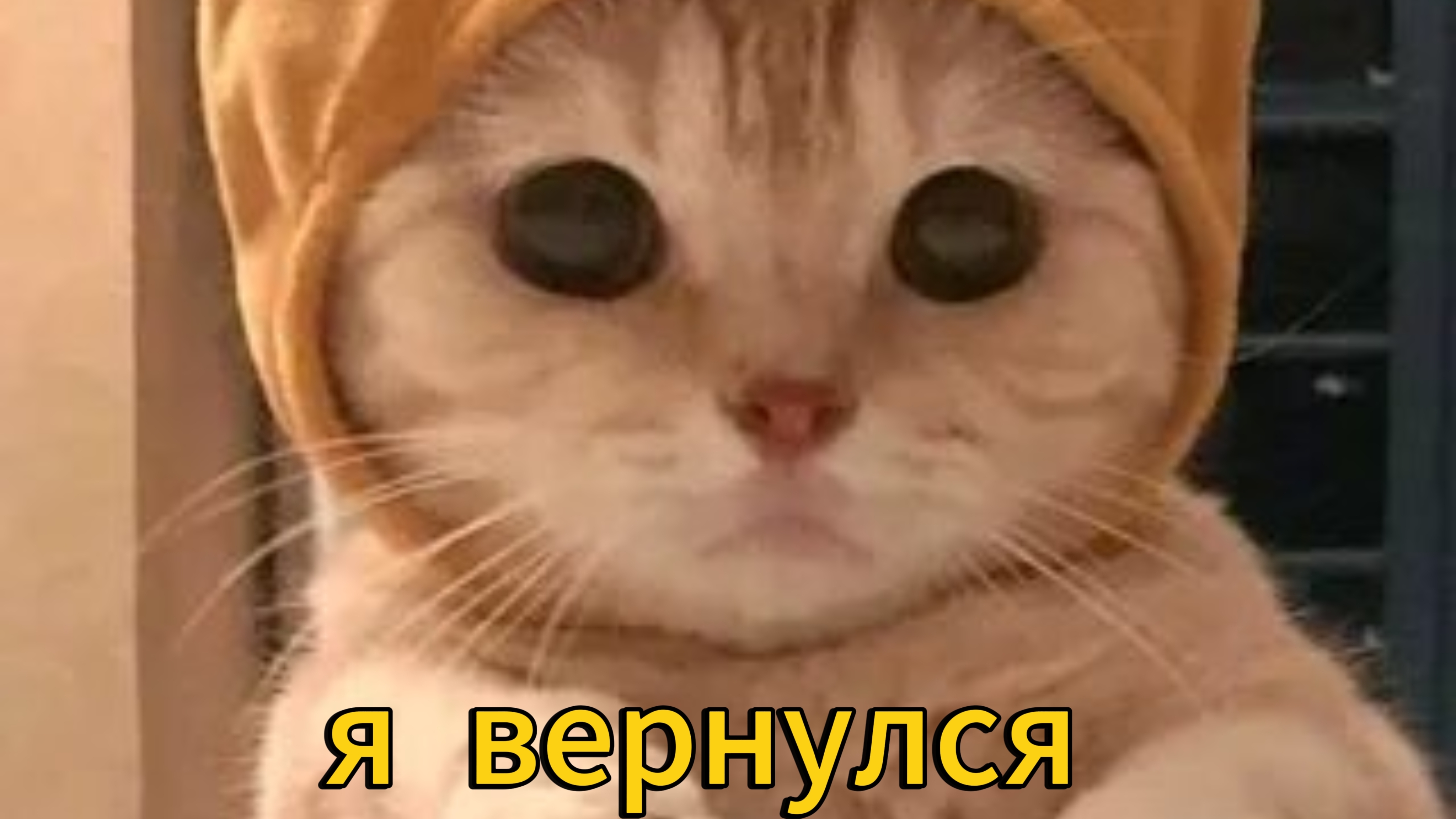 Я ВЕРНУЛСЯ🤯🥳