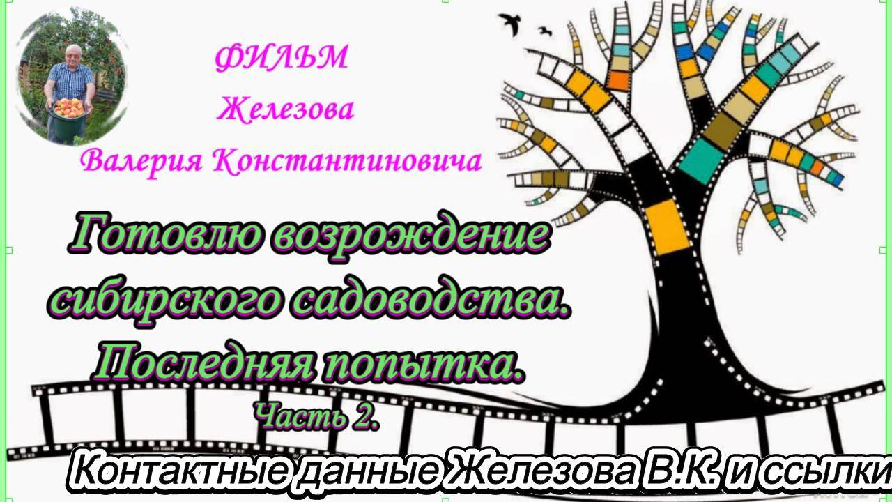 Готовлю возрождение сибирского садоводства. Последняя попытка. Часть2.