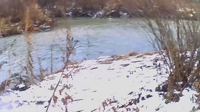 Сходил на речку, поснимал. В общем прогулялся.