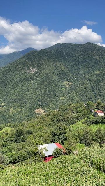 Настоящая Грузия.