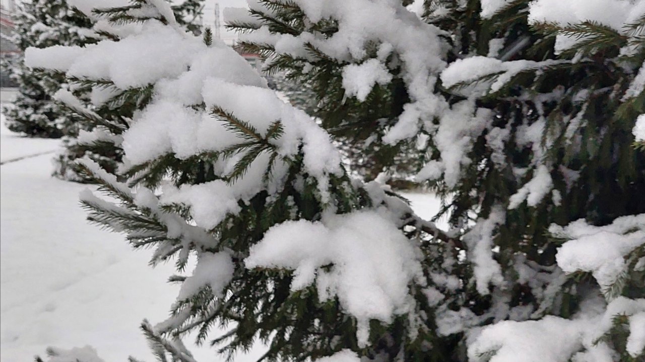 Зима пришла! На этот раз на постоянной основе | Поехала в Новокузнецк●●●