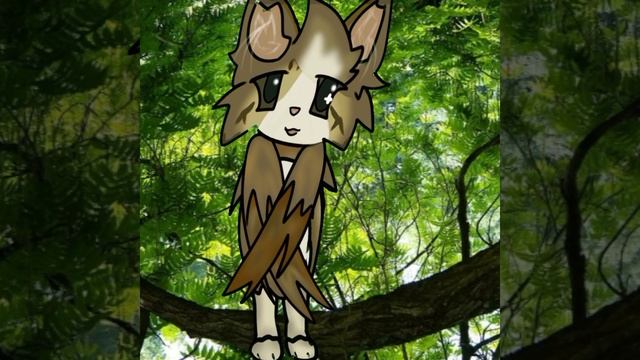 Меовл милашка﹤3.Короче видео будут по выходным, иногда когда будет свободное время.