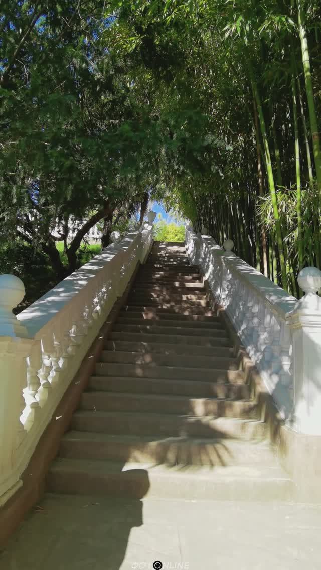 Парк Южные культуры, Сочи. Октябрь 2025