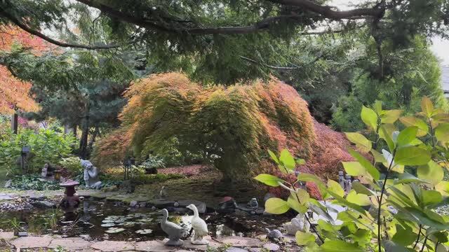 ВЕЛИКОЛЕПНЫЙ САД ПОД БОСТОНОМ ВОЛШЕБНЫЕ КРАСКИ ОСЕНИ , Часть 2 октябрь 2025