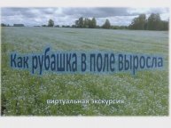 Как рубашка в поле выросла. Виртуальная экскурсия