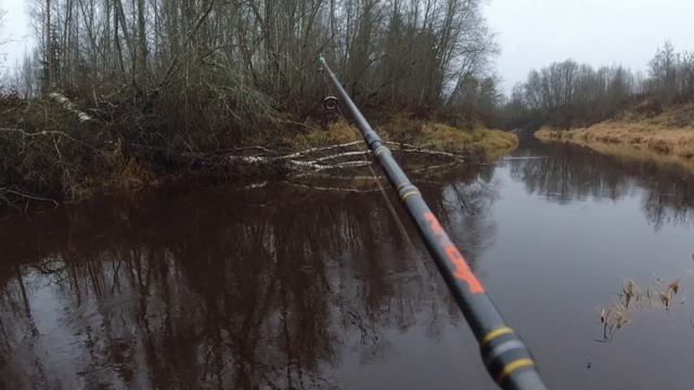 Река Тосна Щук Нет