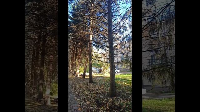 Михайловск.. Такая тёплая осень..