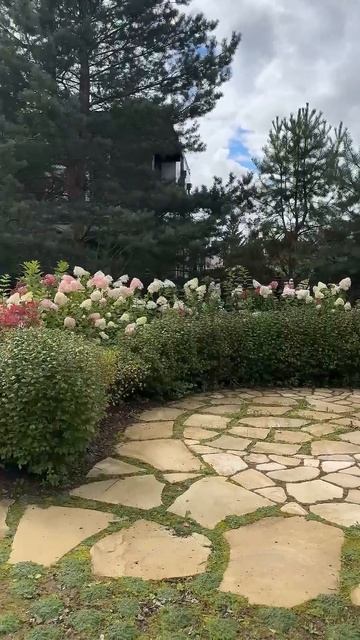 ❓ А вы используете при реконструкции старые растения или предпочитаете начинать с нуля?