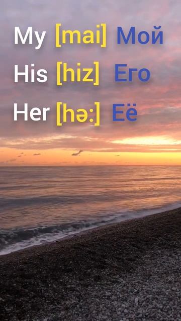 Притяжательные местоимения в английском языке (1)