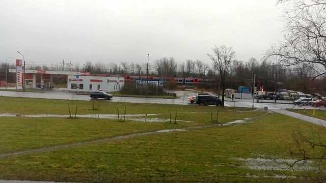 вид из окна в сосновой поляне!!!