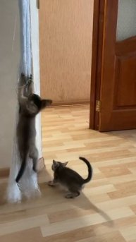 Осваивают новое развлечение