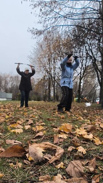 6 ноября 2025 г.