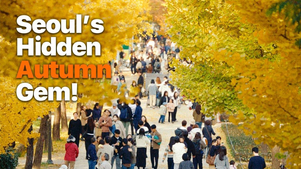 The Most Beautiful Autumn Spot in Seoul 🍁 | The City’s Most Stunning Fall Walk Korea