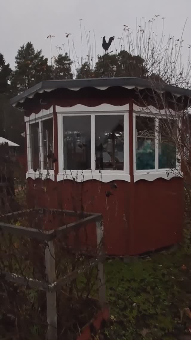 Шведский дачный поселок в ноябре. Люди зимой там не живут.